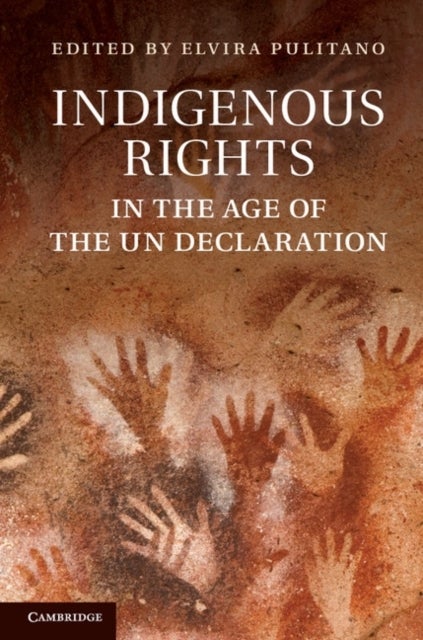 Indigenous Rights in the Age of the Un Declaration. Edited by Elvira Pulitano