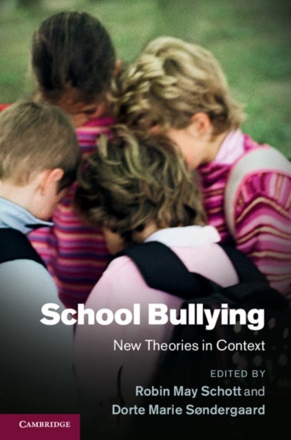 School Bullying - New Theories in Context