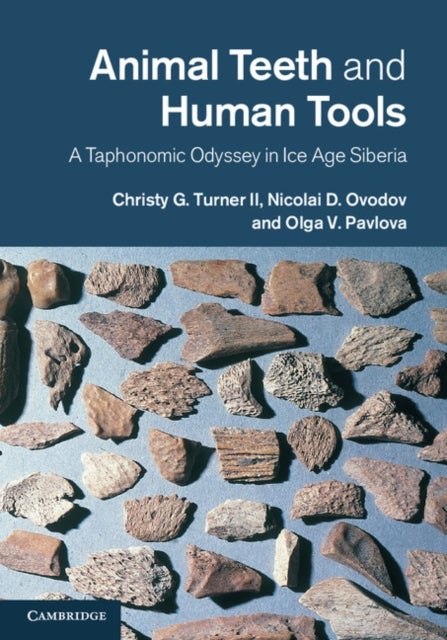 Animal Teeth and Human Tools - A Taphonomic Odyssey in Ice Age Siberia