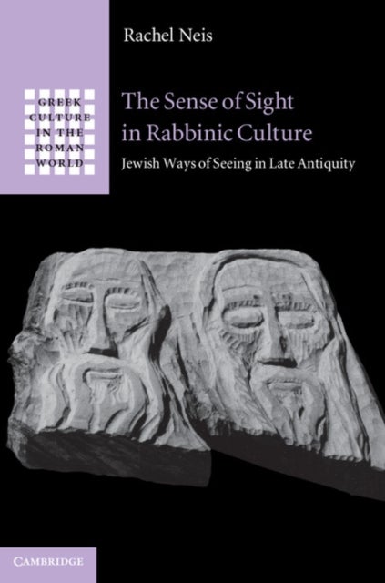 The Sense of Sight in Rabbinic Culture - Jewish Ways of Seeing in Late Antiquity