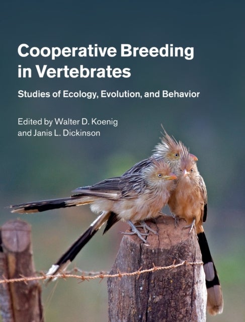 Cooperative Breeding in Vertebrates - Studies of Ecology, Evolution, and Behavior