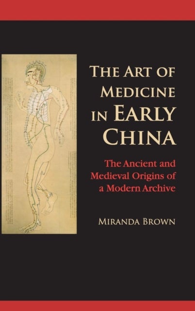The Art of Medicine in Early China - The Ancient and Medieval Origins of a Modern Archive