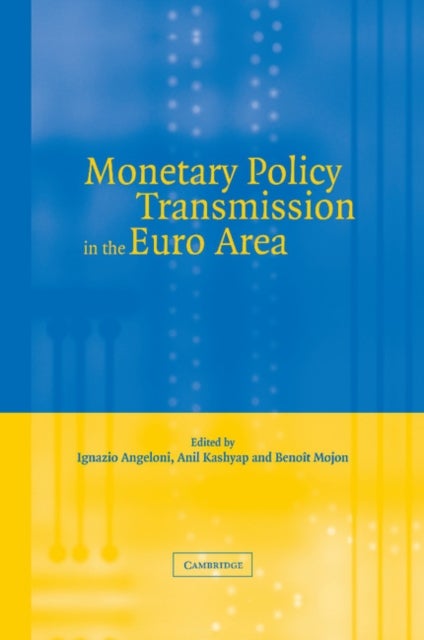Monetary Policy Transmission in the Euro Area - A Study by the Eurosystem Monetary Transmission Network
