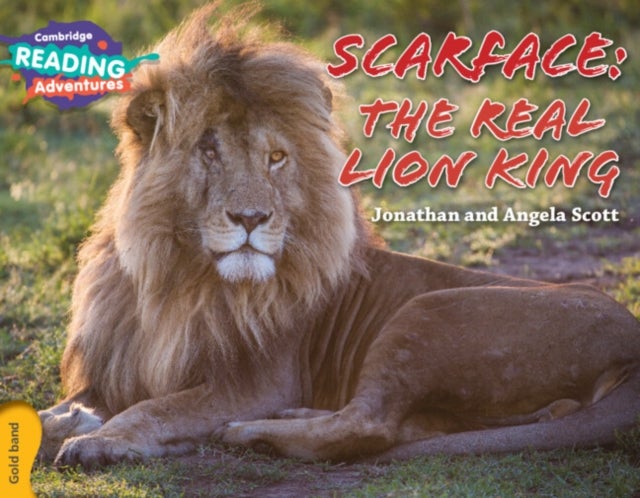 Scarface the Real Lion King