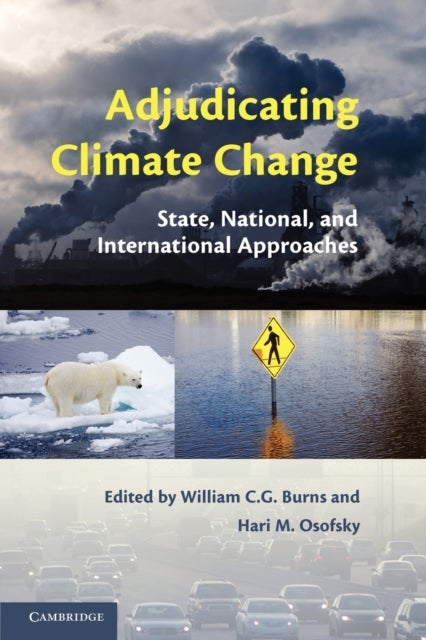 Adjudicating Climate Change - State, National, and International Approaches