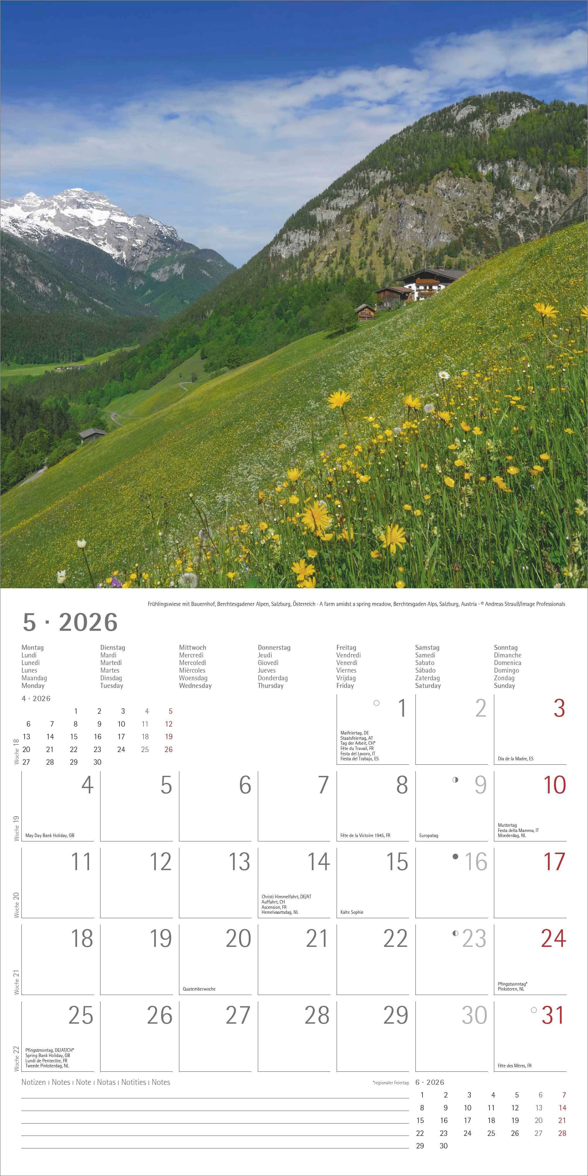 Kalender 2026 30x30 Alps
