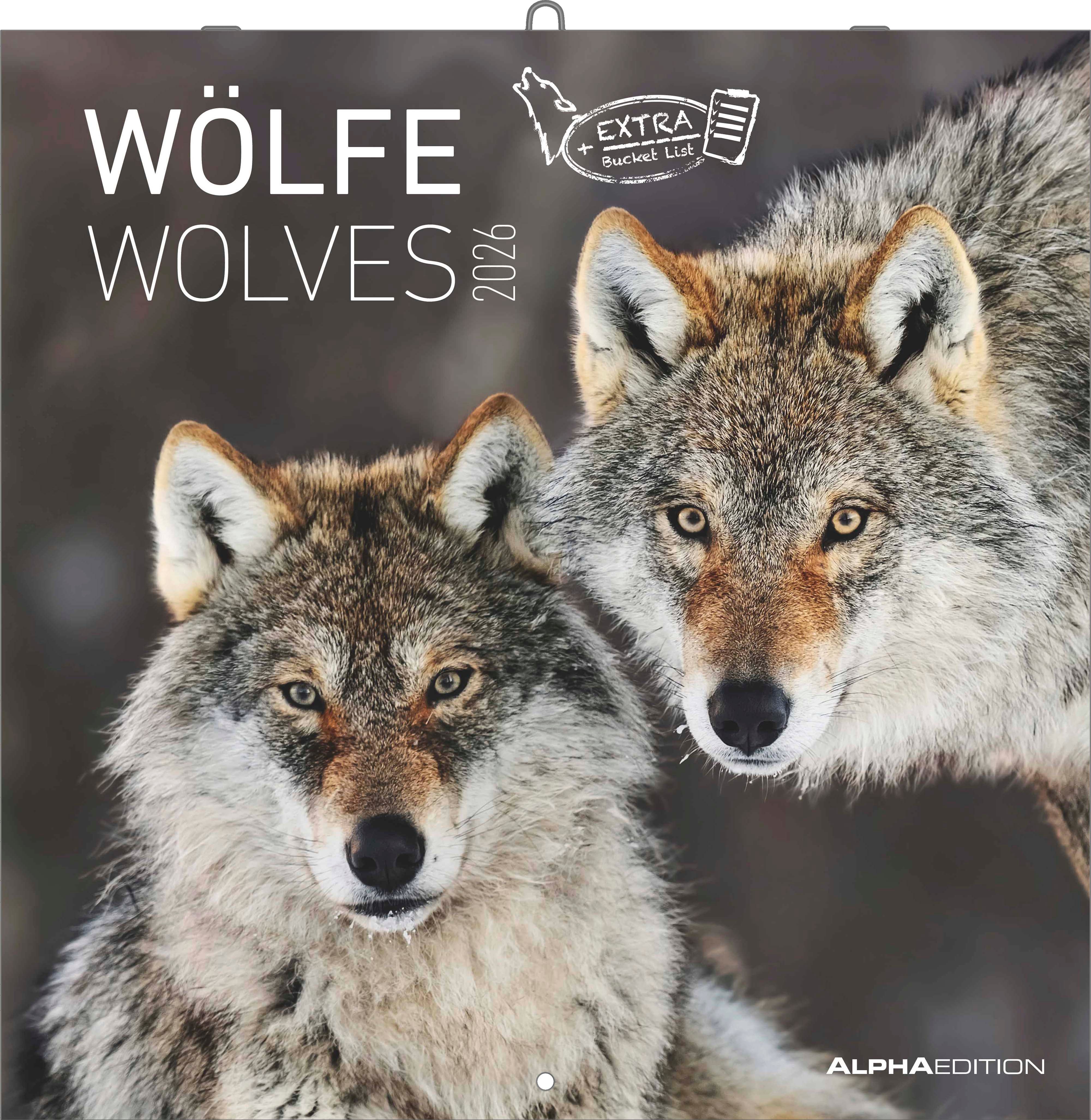 Kalender 2026 30x30 Wolves