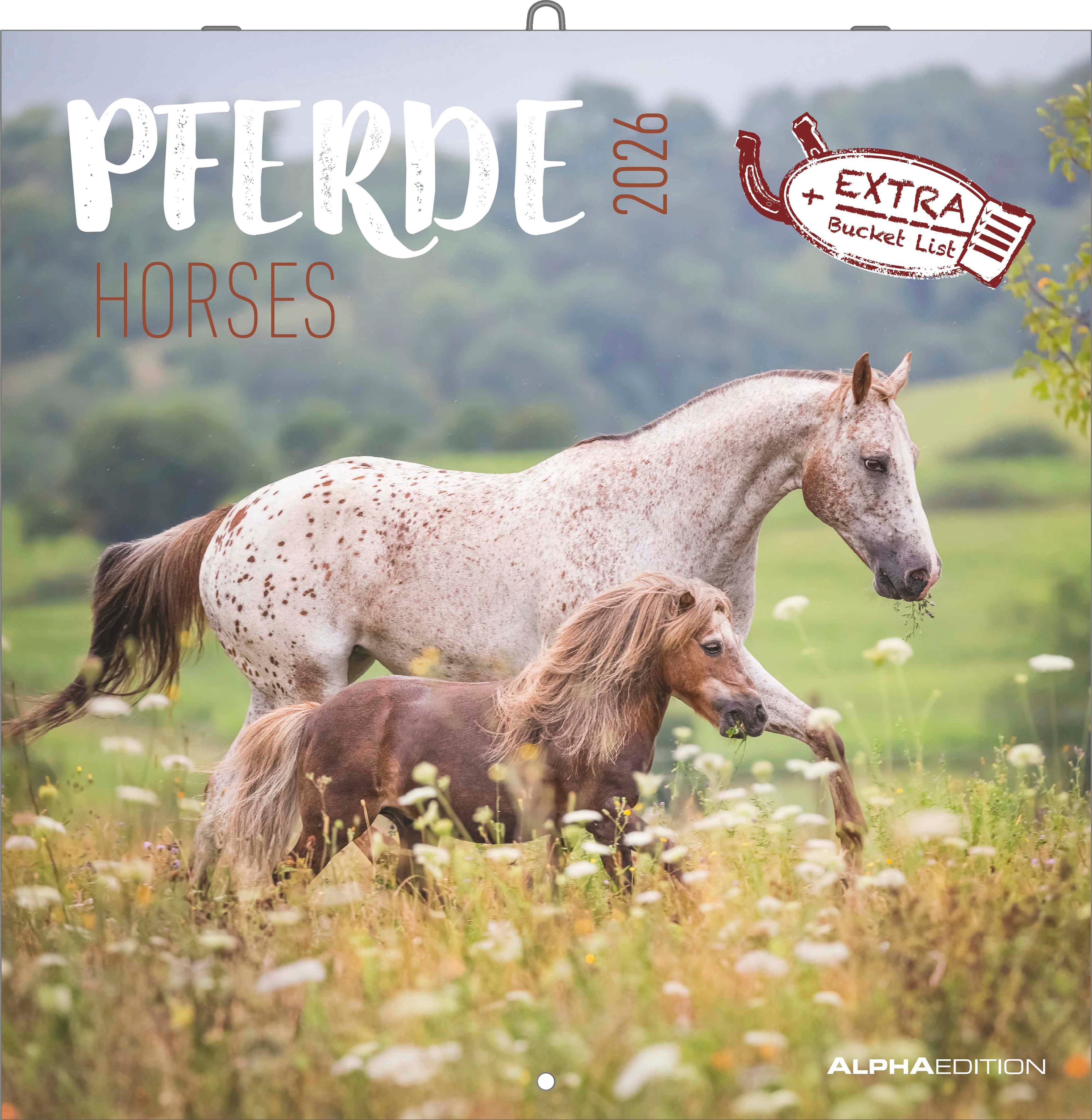 Kalender 2026 30x30 Horses
