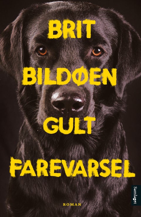 Gult farevarsel - roman
