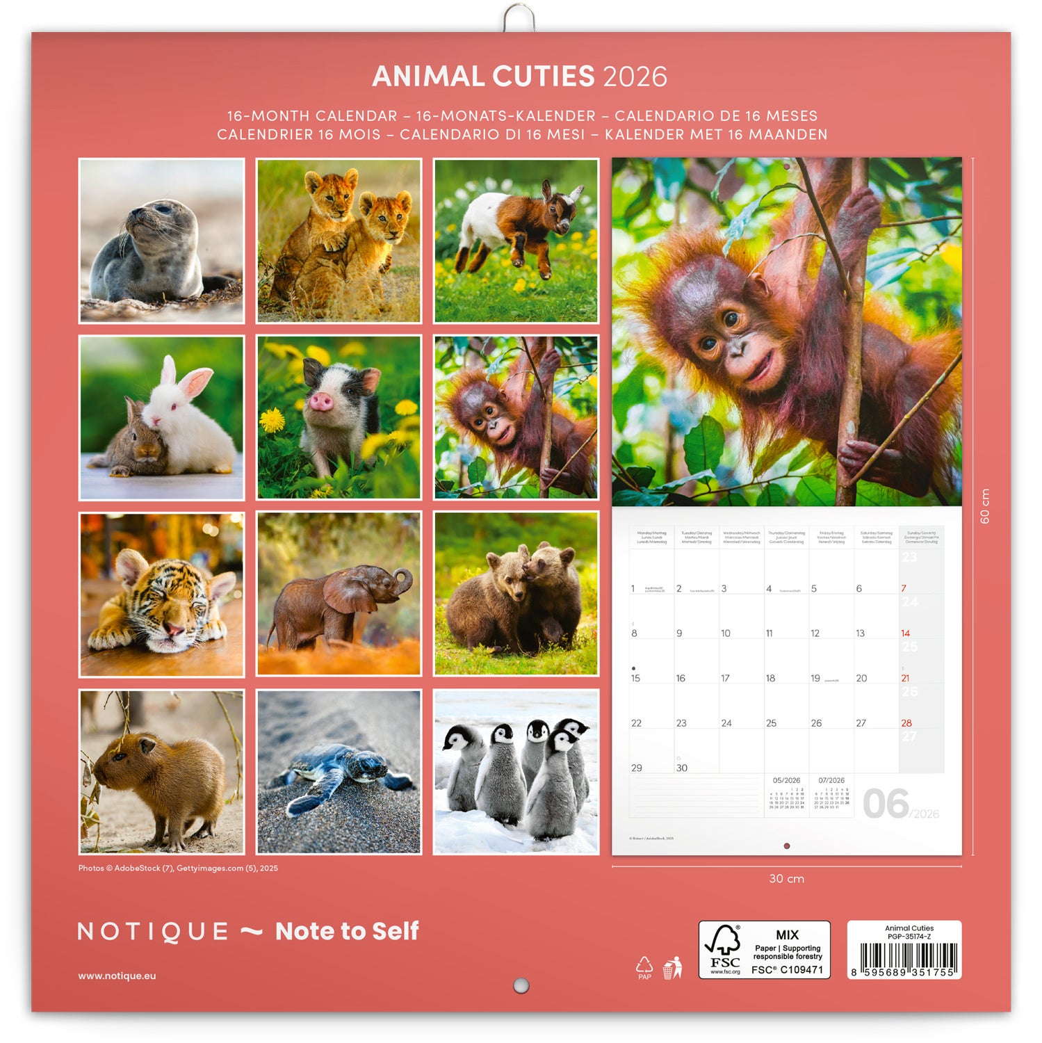 Kalender 2026 30x30 Animal Cuties