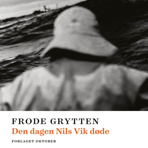 Den dagen Nils Vik døde - roman