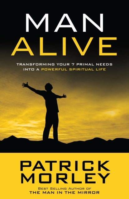 Man Alive - Transforming a Man's Seven Primal Needs Into a Powerful Spiritual Life