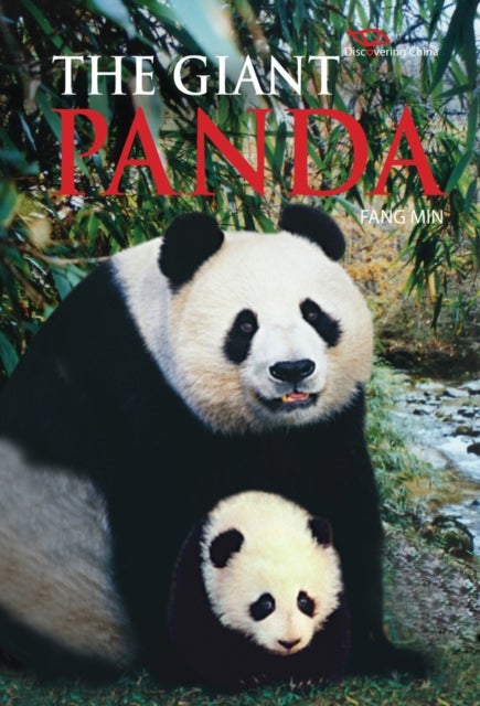 Giant Panda - Discovering China