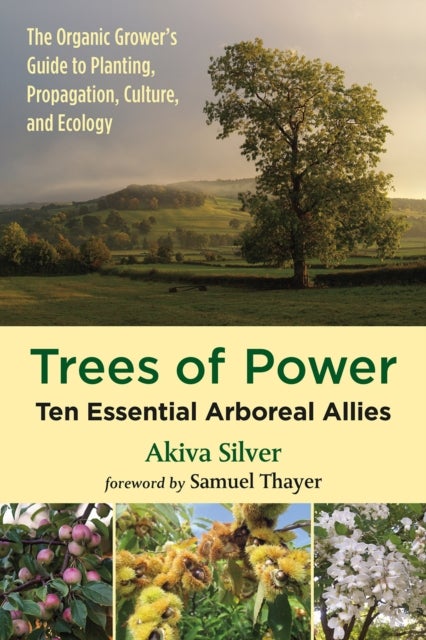 Trees of Power - Ten Essential  Arboreal Allies