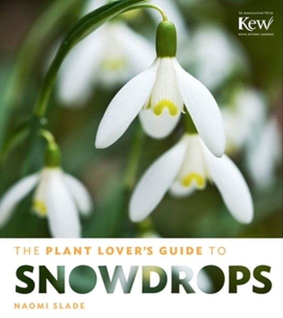 The Plant Lover''s Guide to Snowdrops