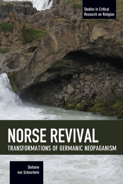 Norse Revival: Transformations Of Germanic Neopaganism - Studies in Critical Research on Religion