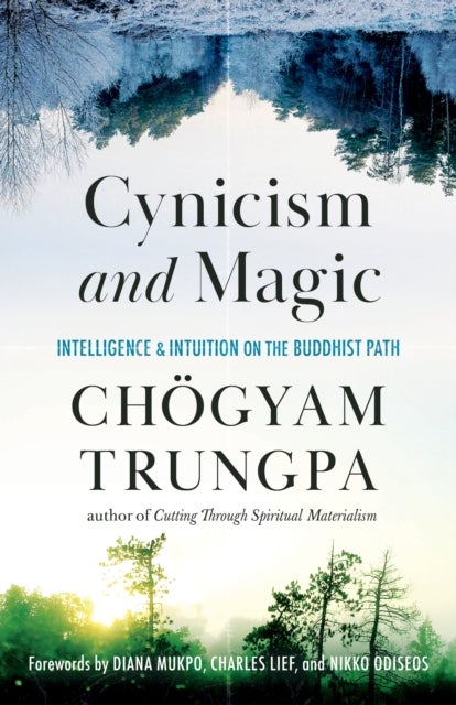 Cynicism and Magic - Intelligence and Intuition on the Buddhist Path