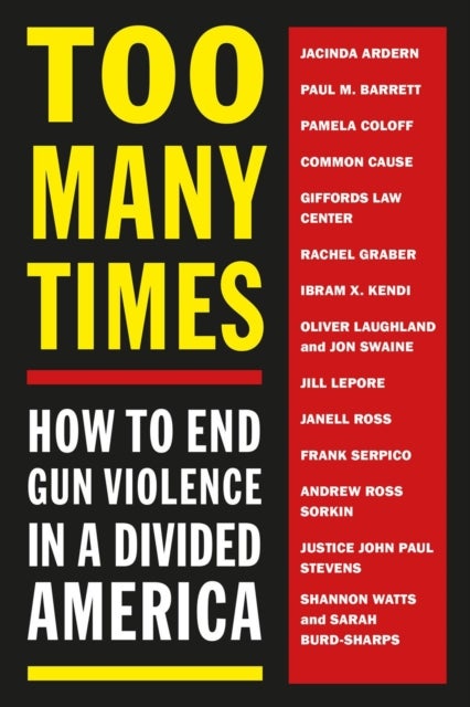Too Many Times - How to End Gun Violence in a Divided America