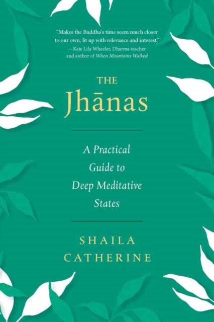 The Jhanas - A Practical Guide to Deep Meditative States