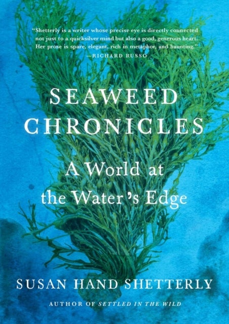 Seaweed Chronicles - A World at the Water’s Edge