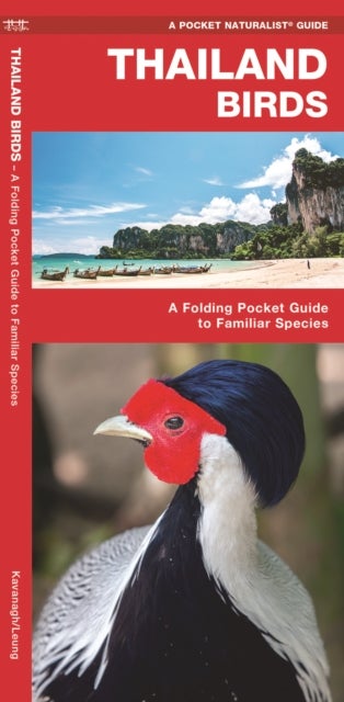 Thailand Birds - A Folding Pocket Guide to Familiar Species