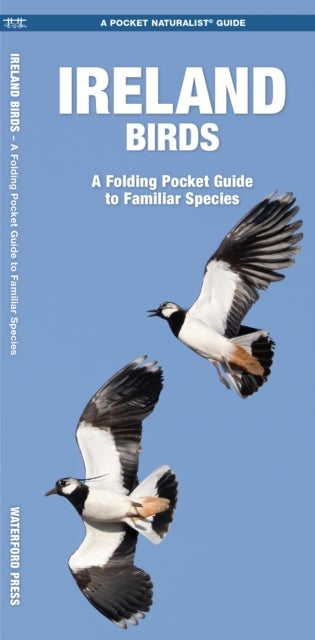 Ireland Birds - A Folding Pocket Guide to Familiar Species