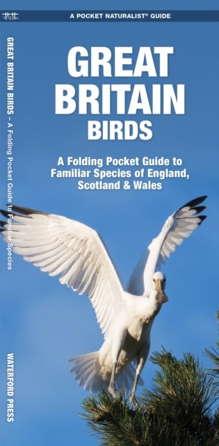 Great Britain Birds - A Folding Pocket Guide to Familiar Species of England, Scotland & Wales
