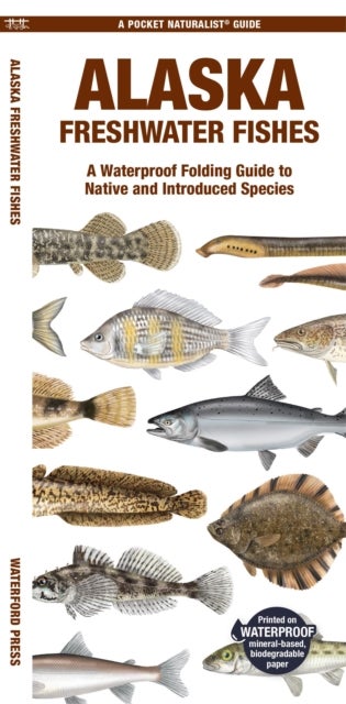 Alaska Freshwater Fishes - A Folding Pocket Guide to Native and Introduced Species