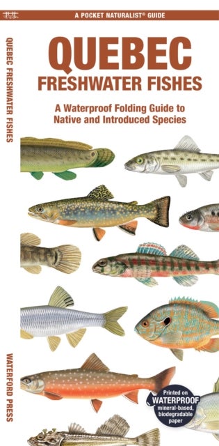 Quebec Freshwater Fishes - A Folding Pocket Guide to Native and Introduced Species