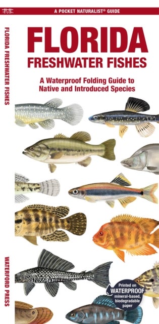 Florida Freshwater Fishes - A Folding Pocket Guide to Native and Introduced Species