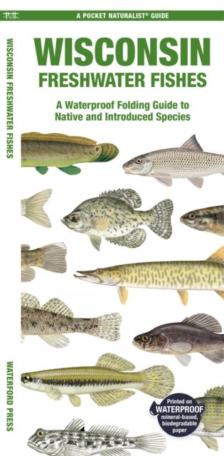 Wisconsin Freshwater Fishes - A Folding Pocket Guide to Native and Introduced Species