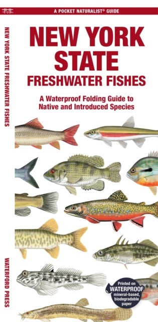 New York State Freshwater Fishes - A Folding Pocket Guide to Native and Introduced Species
