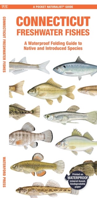Connecticut Freshwater Fishes - A Folding Pocket Guide to Native and Introduced Species