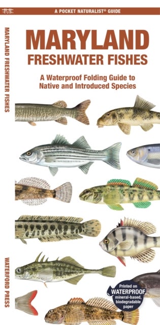 Maryland Freshwater Fishes - A Folding Pocket Guide to Native and Introduced Species