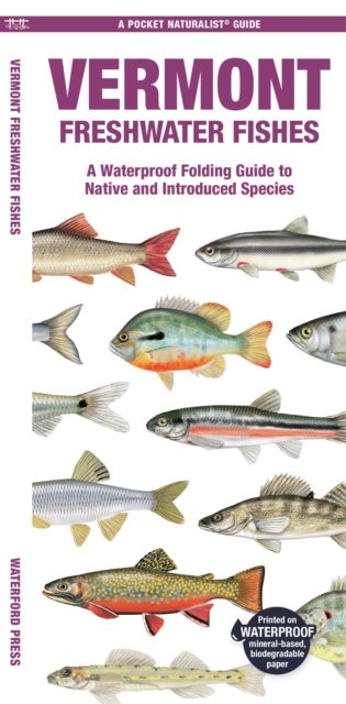 Vermont Freshwater Fishes - A Folding Pocket Guide to Native and Introduced Species