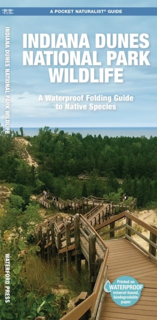 Indiana Dunes National Park Wildlife - A Folding Pocket Guide to Native Species