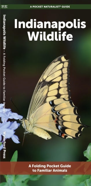 Indianapolis Wildlife - A Folding Pocket Guide to Familiar Animals