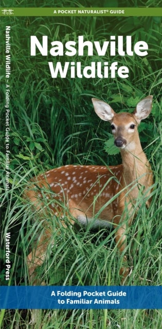 Nashville Wildlife - A Folding Pocket Guide to Familiar Animals
