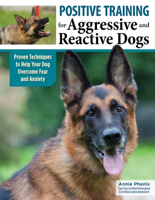 Positive Training for Aggressive & Reactive Dogs - Help Your Dog Overcome Fear and Anxiety