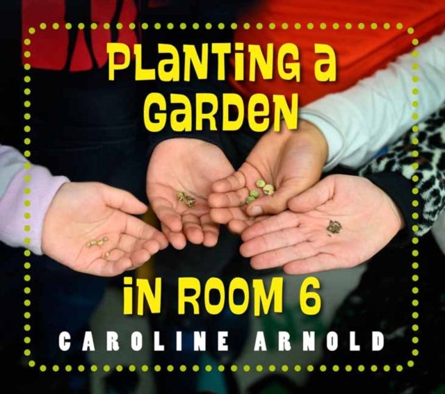 Planting a Garden in Room 6 - From Seeds to Salad