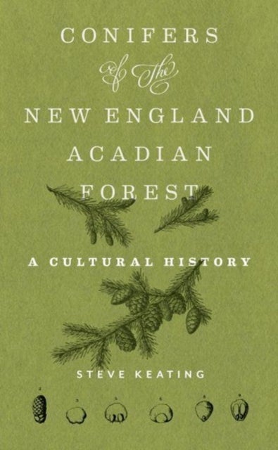 Conifers of the New England–Acadian Forest - A Cultural History