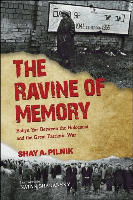 The Ravine of Memory - Babyn Yar Between the Holocaust and the Great Patriotic War