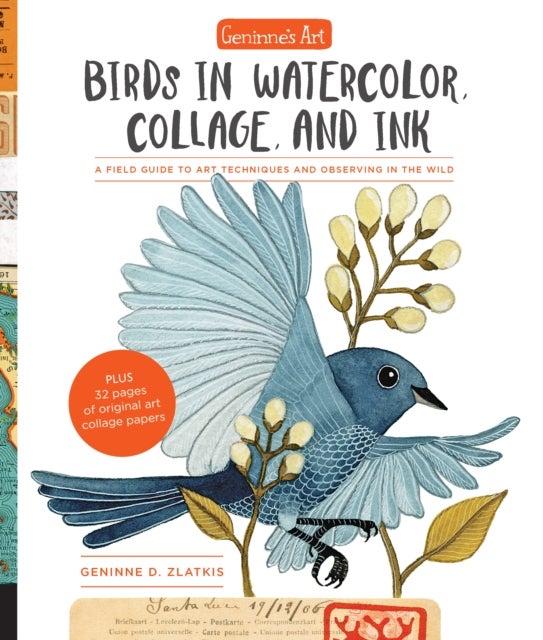 Geninne''s Art: Birds in Watercolor, Collage, and Ink - A field guide to art techniques and observing in the wild
