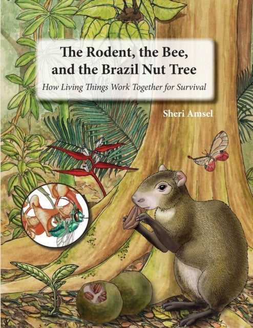 The Rodent, the Bee,  and the Brazil Nut Tree - How Living Things Work Together for Survival
