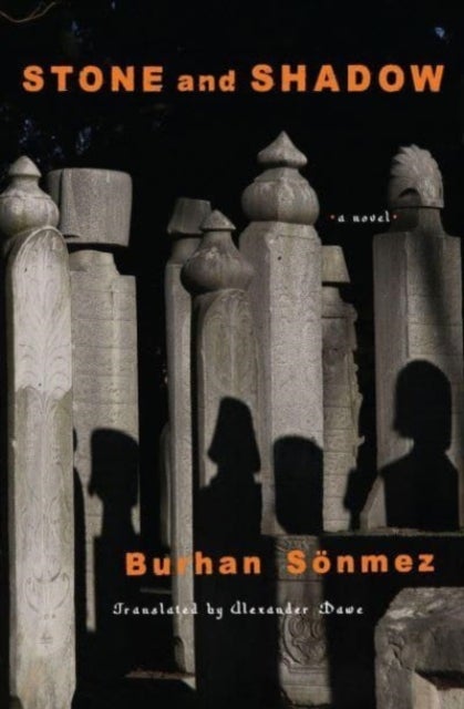 Stone and Shadow - A Novel