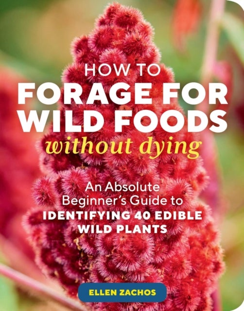 How to Forage for Wild Foods without Dying - An Absolute Beginner's Guide to Identifying 40 Edible Wild Plants