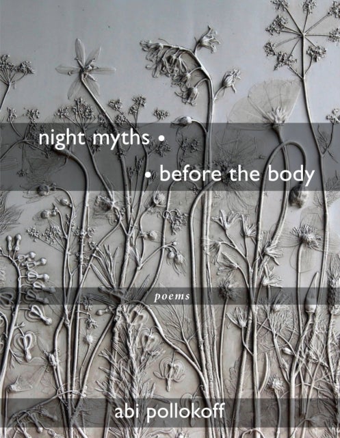 night myths • • before the body - Poems