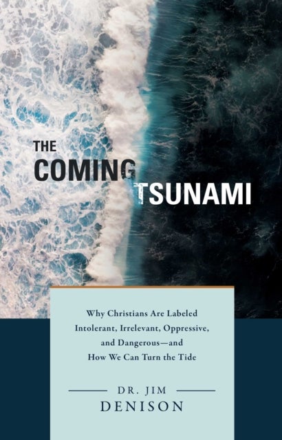 The Coming Tsunami - Why Christians Are Labeled Intolerant, Irrelevant, Oppressive, and Dangerous -- and How We Can Turn the Tide