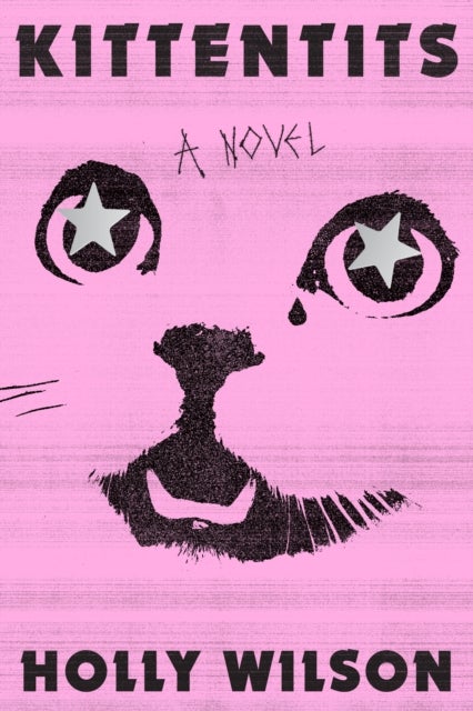 Kittentits - A Novel