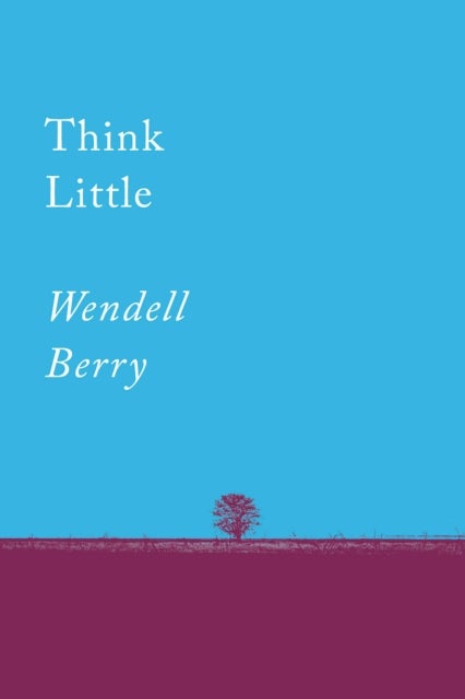 Think Little - Essays